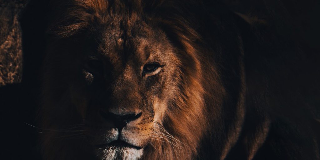 restituir imposto de renda sobre pensão alimentícia