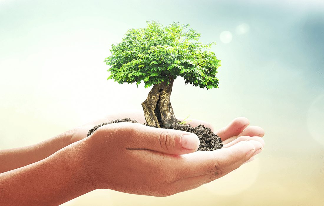 1100x700-Molde-Materia-Blog-MeioAmbiente